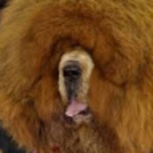 Meet your Posher, Tad